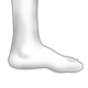 socks-1.png (80×80)